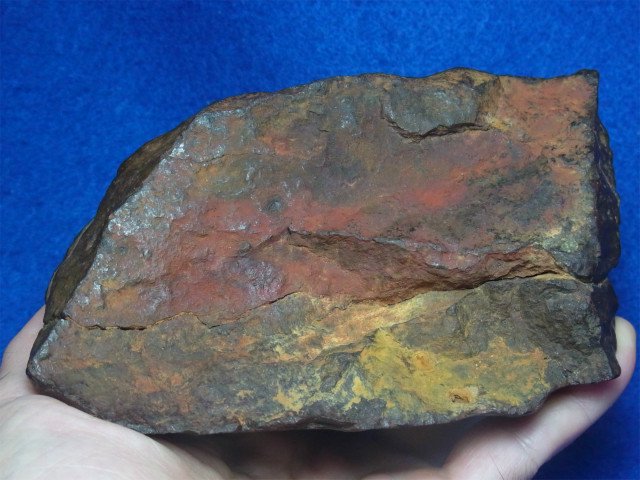 大型石質隕石（コンドライト ＮＷＡ）レグマグリプツ、オリエンテッド 