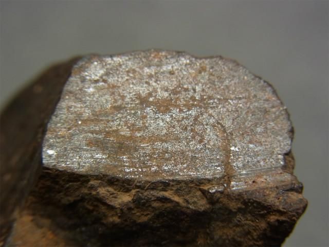 石質隕石（コンドライト NWA）レグマグリプツ 日本人