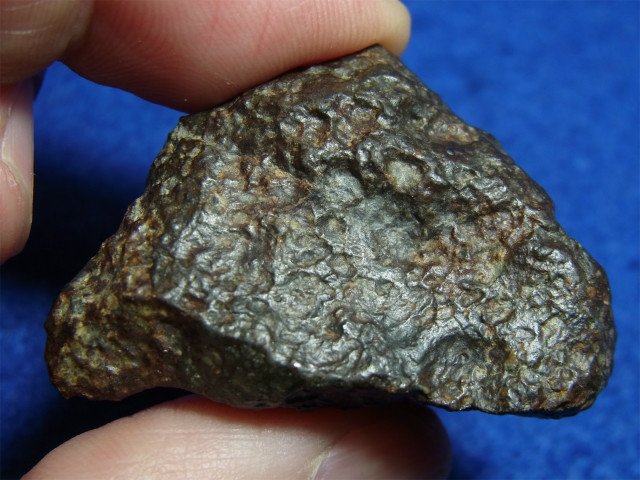 炭素を含んだ石質隕石 コンドライト ＮＷＡ８６９ ペア標本 - 水晶専門 