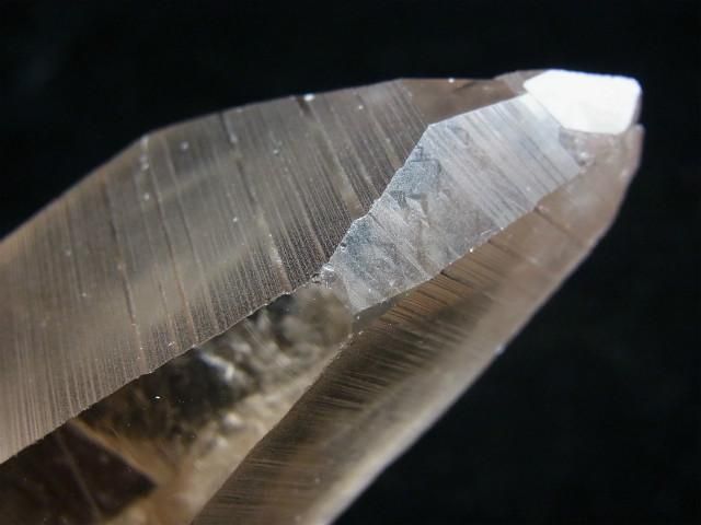 レムリアンシード スモーキー、グランドレコードの痕跡、凄いセルフ