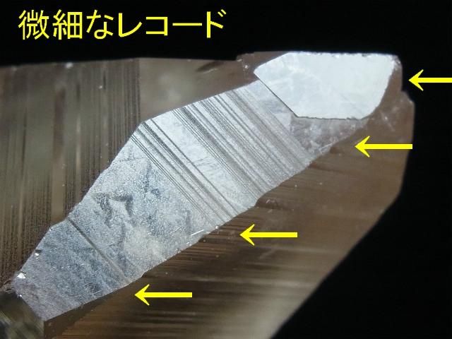 レムリアンシード スモーキー、グランドレコードの痕跡、凄いセルフ