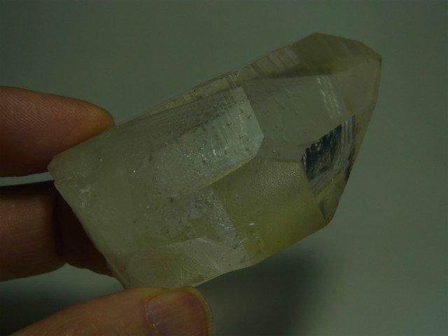 バイーア州産レムリアンシード 極薄いゴールデンヒーラー