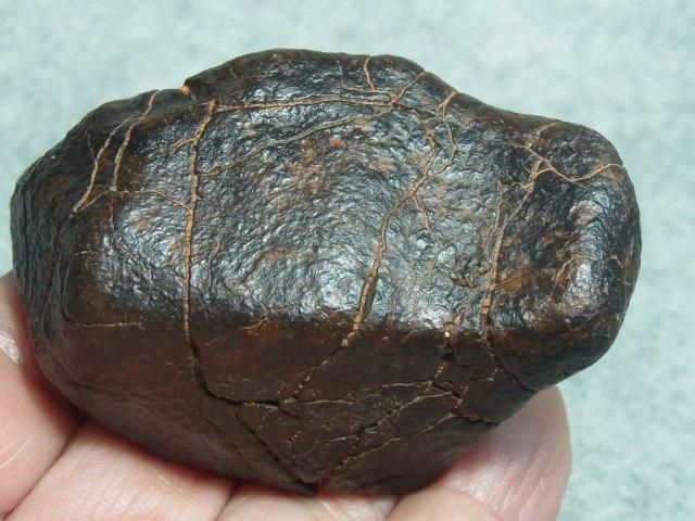 NWA 石質隕石 コンドライト 溶融被殻、完全体 - 水晶専門店 EXークリスタル