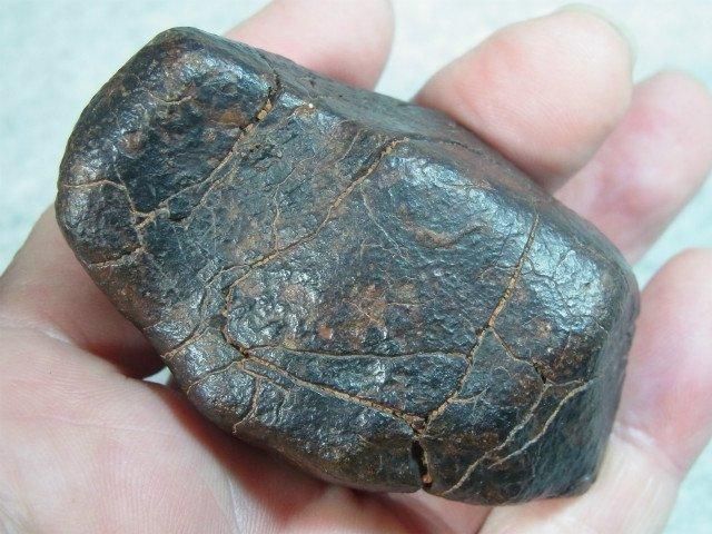 NWA 石質隕石 コンドライト 溶融被殻、完全体 - 水晶専門店 EXークリスタル