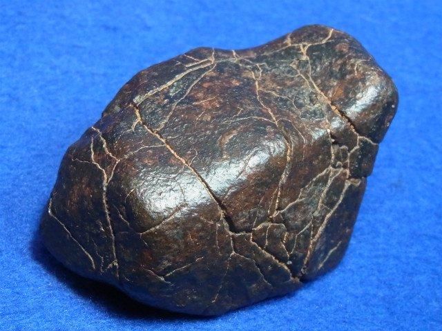 NWA 石質隕石 コンドライト 溶融被殻、完全体 - 水晶専門店 EXークリスタル