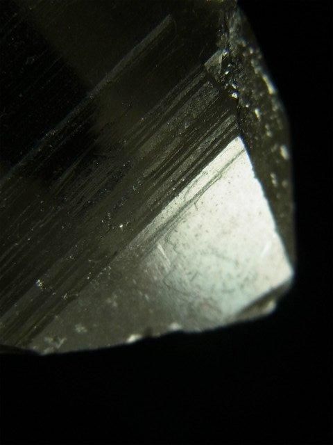 レムリアンシード大型ペンダントトップ 52 イシスに微細なトライゴー