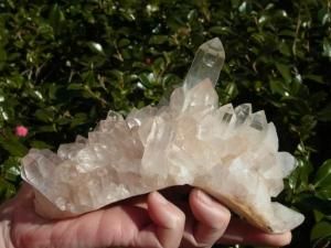 <img class='new_mark_img1' src='https://img.shop-pro.jp/img/new/icons1.gif' style='border:none;display:inline;margin:0px;padding:0px;width:auto;' />�ޥ˥���󻺥ҥޥ��徽���������������ɥ쥳���ɡ���������᤭