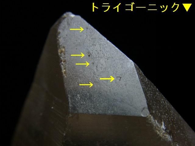 レムリアンシード☆ トライゴーニック、レコードキーパー - 水晶 レムリアンシード☆ トライゴーニック、レコードキーパー - 水晶