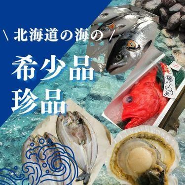 着指可】支笏湖産 津本式チップ（ヒメマス）刺身用 - 本物の味
