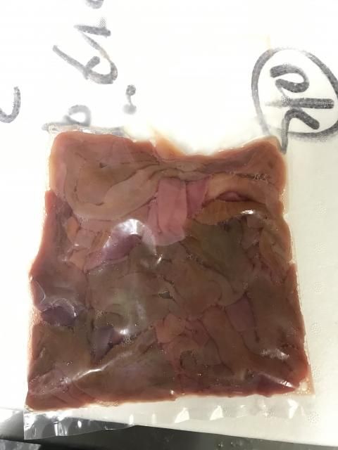 着指可 希少 処理済ルッツ ユムシ 250g 本物の味 シーレッシュ