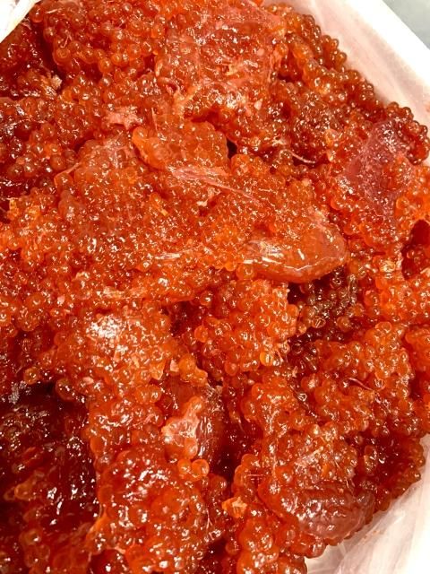 着指可】釧路ウロコボシ 塩紅鮭筋子 切れ子 2k - 本物の味 シー 着指可】釧路ウロコボシ 塩紅鮭筋子 切れ子 2k - 本物の味 シー