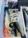 【6月4日〜5日着】初荷！北海道泊村産　カブトサーモン元魚3.2k　刺身用