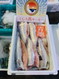 【12月3日〜4日着】釧路　茜サーモン　海洋養殖ニジマス　生食用