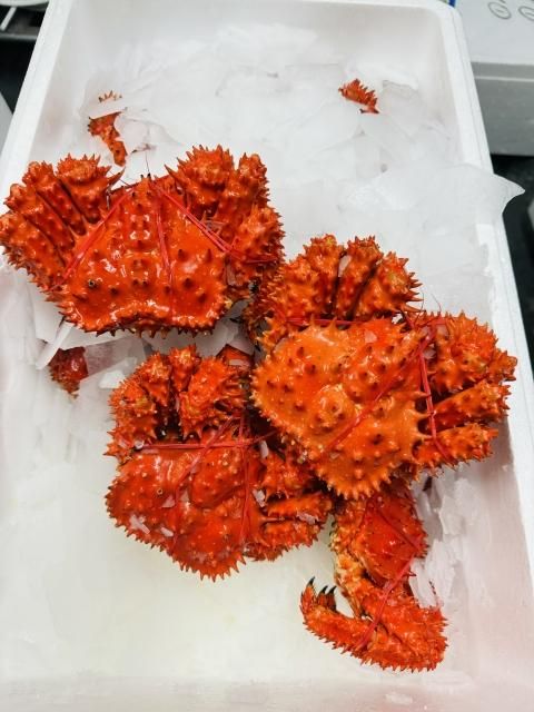 着指可】根室産 花咲ガニ 特特特 堅蟹 - 本物の味 シーレッシュ
