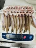 【着指可】北海道産 若ししゃもメス40尾 新物 超高騰中