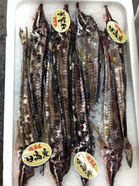 予約注文 北海道 八角 約3ｋ 本物の味 シーレッシュ