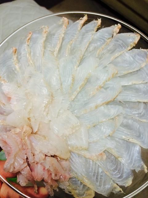 神経締め 予約注文 幻のマツカワ鰈 本物の味 シーレッシュ 神経締め 予約注文 幻のマツカワ鰈 本物の味 シーレッシュ
