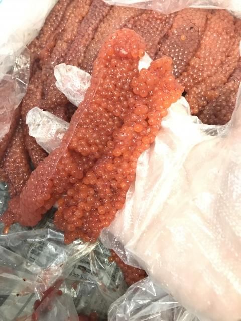 北海道 鱒生筋子 マス 3ｋ 自家製イクラ醤油漬けに 本物の味 シーレッシュ