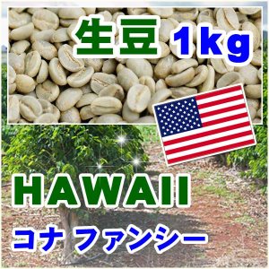 ハワイコナ　FANCY 【1kg】 生豆