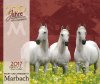 BOISELLE カレンダー2017 Mサイズ 24 MARBACH STATE STUD（マールバッハ）