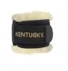  KENTUCKY   ץ Pastern Wrap