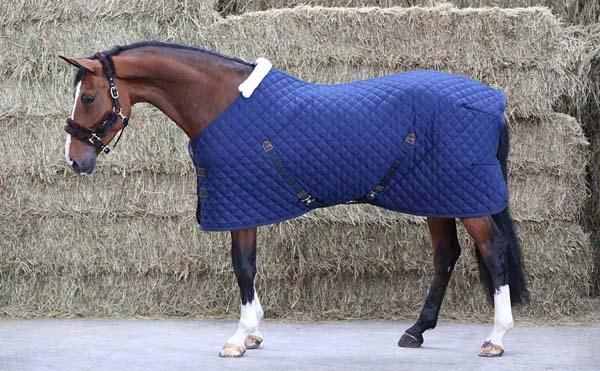 KENTUCKY  Stable Rug 400g