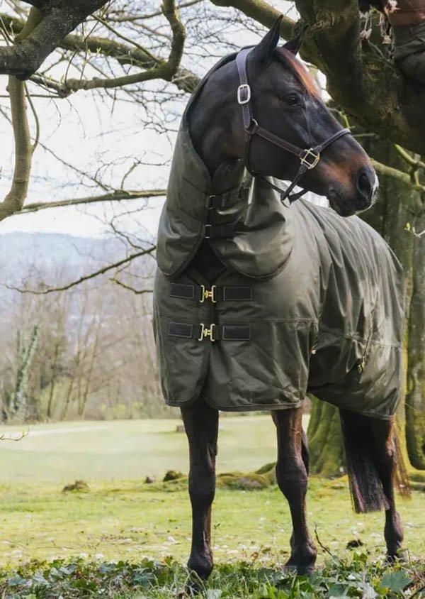 KENTUCKY Turnout Rug All Weatherʥ󥢥ȥ饰 륦 160gͥåդ 