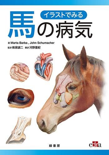 イラストでみる馬の病気 イラストでみる馬の病気