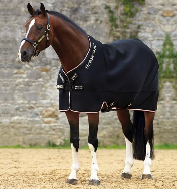 penelope ペネロペ 馬着 ラグ ステーブルラグ 乗馬用品 薄馬衣 馬具 ...