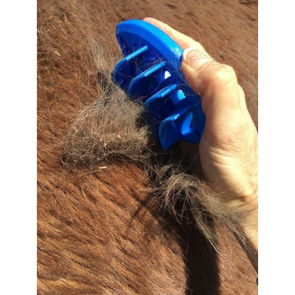 EPONA Luckey Horseshoe Groomer