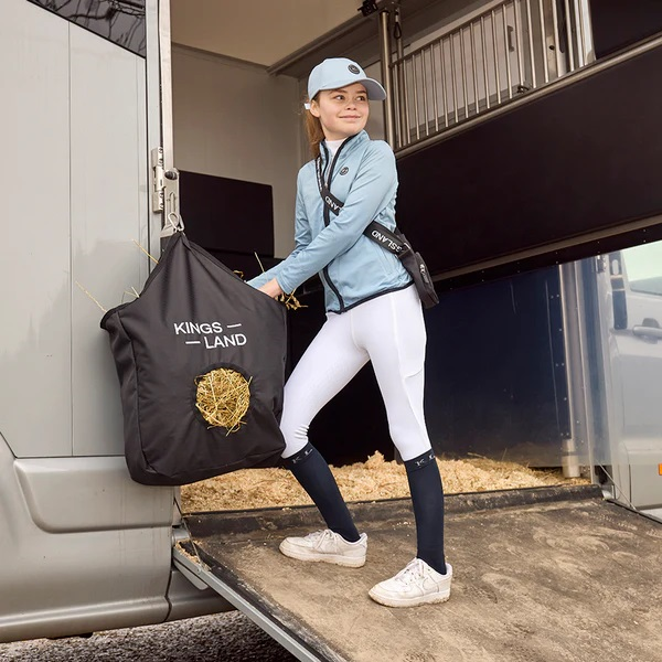 KINGSLAND HOLLIEإХå