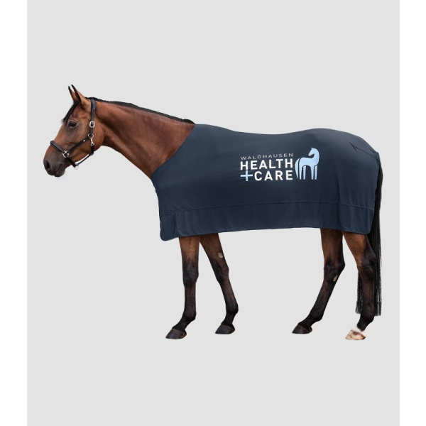 <img class='new_mark_img1' src='https://img.shop-pro.jp/img/new/icons11.gif' style='border:none;display:inline;margin:0px;padding:0px;width:auto;' />Waldhausen W-health&Care Ice Layer 饰