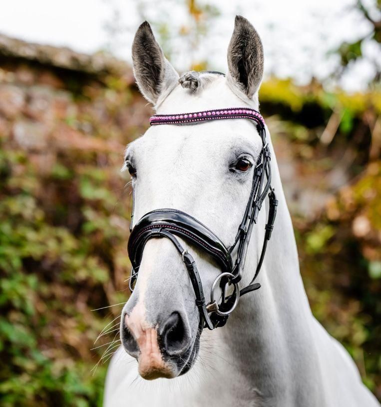 Horseware® Diamante եå ֥饤ɥ