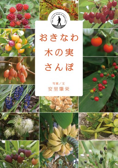 おきなわ木の実さんぽ 写真 文 安里肇栄 沖縄の本ならココ ボーダーインク