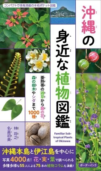 沖縄の身近な植物図鑑 亜熱帯の雑草から庭の花 森の樹木やシダまで1000種 林 将之 名嘉初美 著 沖縄の本ならココ ボーダーインク