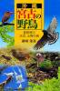 『沖縄　宮古の野鳥　ー亜熱帯の水辺、山野の鳥ー』砂川栄喜著