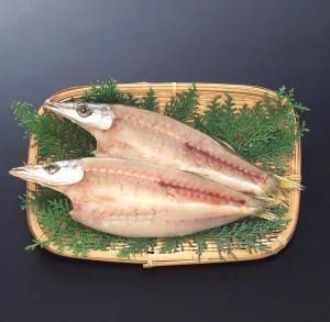 ޤ  硡80100gξʲ