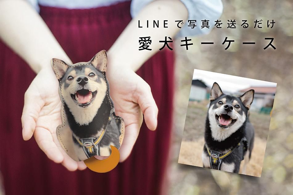 ̿ǰꥸʥΥ ܳפǤĤ쥶  ڥå å ꥸʥ
