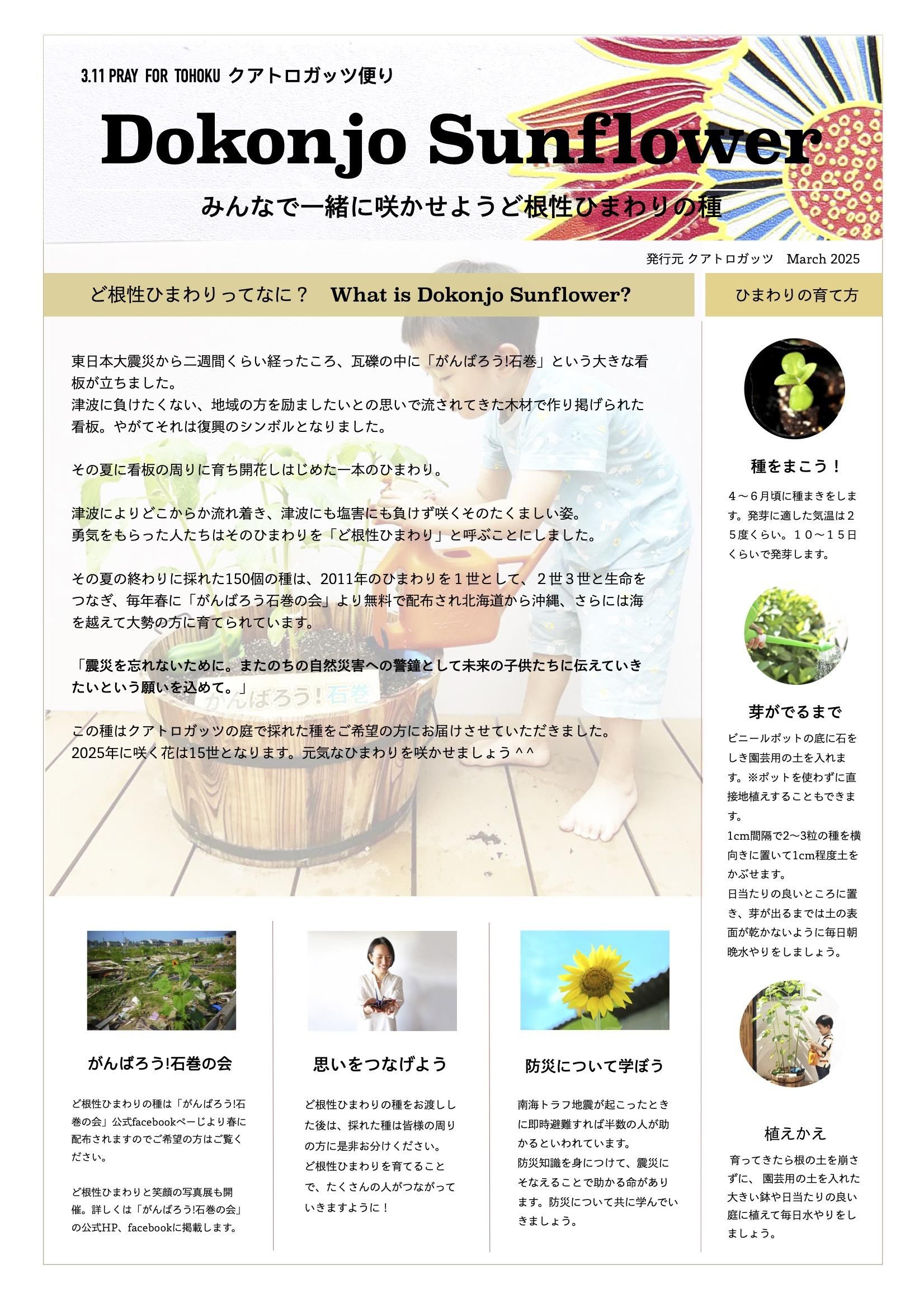 ひまわり様ご確認用 くまこ様ご確認用 くま様確認用 確認用 テディ Super 73 Accessories