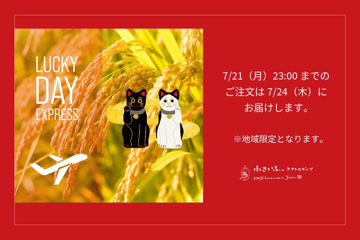 LUCKY DAY EXPRESS õ