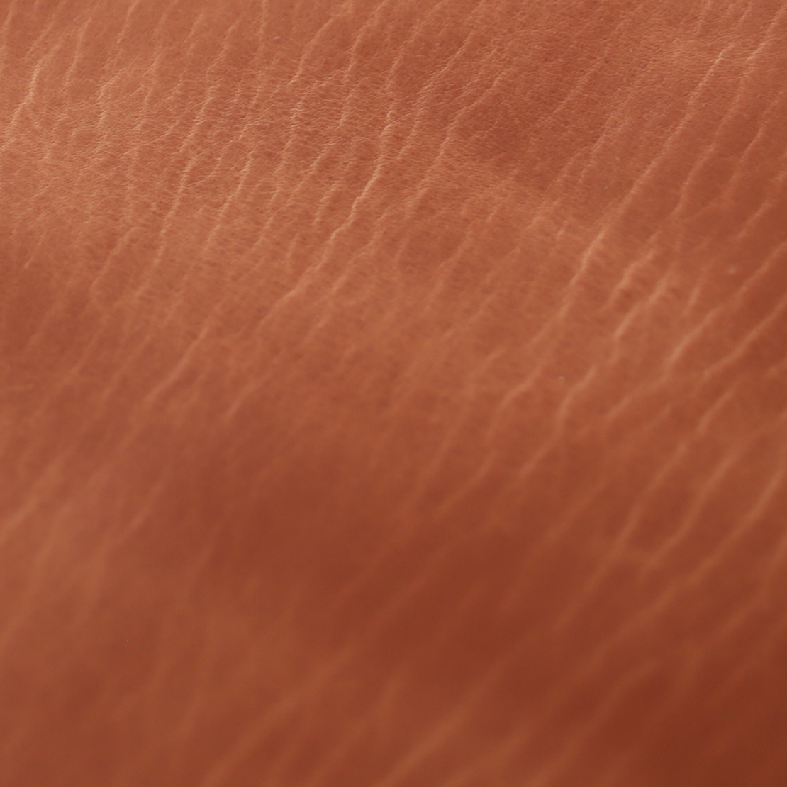 ޤʤɬפʤΤߥ˥åȡ־աפϡפκǹ饳ɥХ