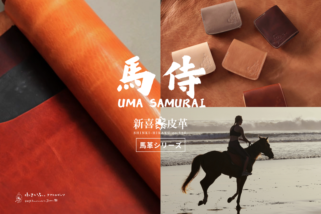 ޤʤѥȺۡ־աפϡ׿ͤϥɥᥤɤǻž夲ǹϳפΥɥХѤߥ˺