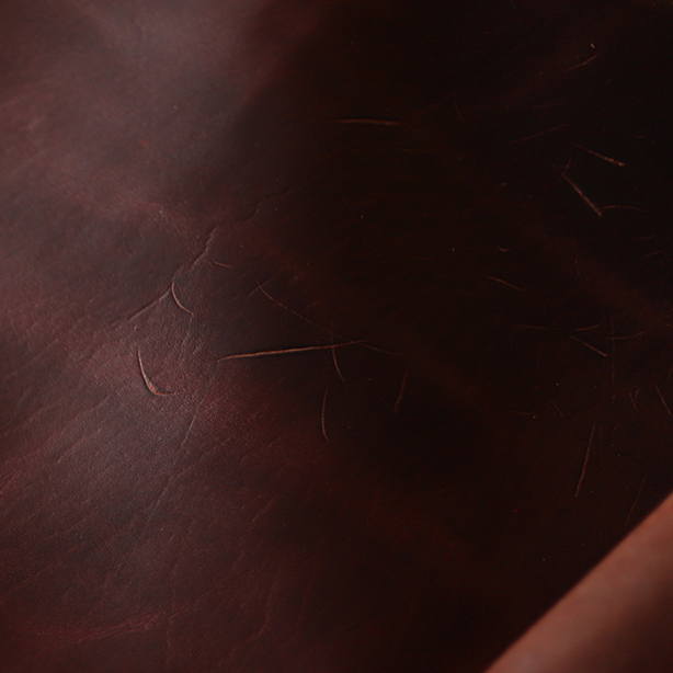 ޤʤѥȺۡ־աפϡ׿ͤϥɥᥤɤǻž夲ǹϳפΥɥХ