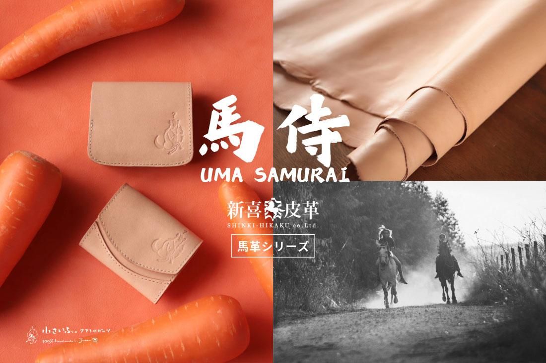 ֿפΥۡ쥶ѡƾϥɥᥤɺۡ