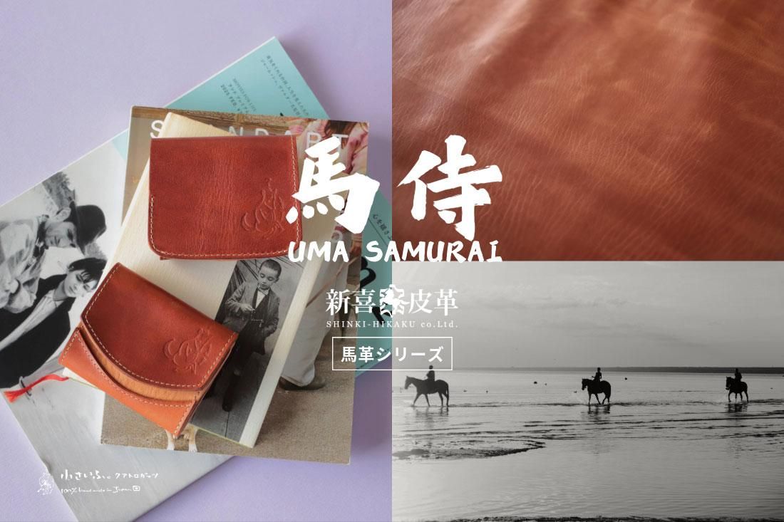 ֿפΥۡ쥶ѡƾϥɥᥤɺۡ