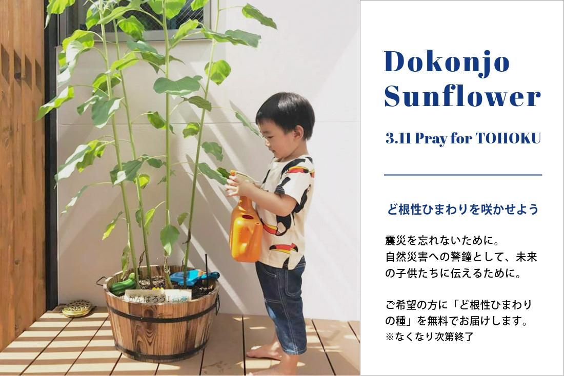 小さいふ。クアトロガッツのNEWアイテム、コラボ、インタビュー 小さいふ。クアトロガッツのNEWアイテム、コラボ、インタビュー