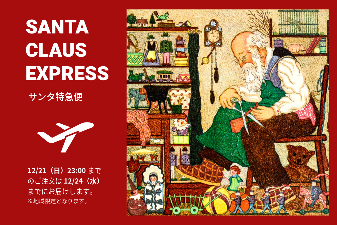 ꥹޥ£פΥߥ˺ý2025ξդȥ쥶եȡ