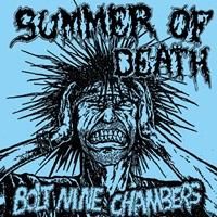 SUMMER OF DEATH 