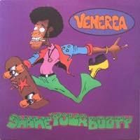 【メロコア名盤】 venerea アナログLP メロコア名盤】 venerea アナログLP