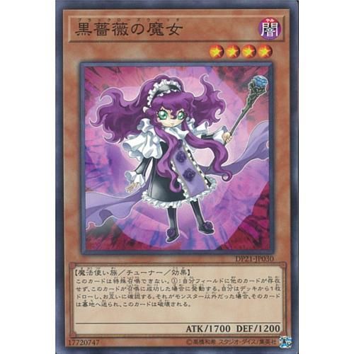 ﾉｰﾏﾙ 黒薔薇の魔女 マロンの隠れ家ドットコム